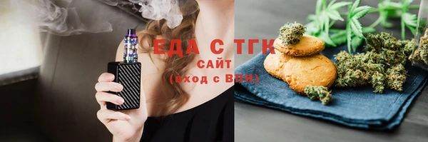 амф Верхний Тагил