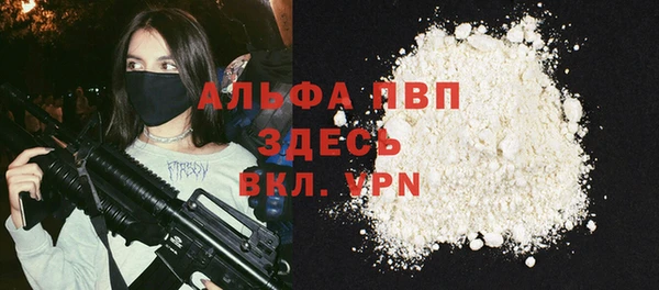 амф Верхний Тагил