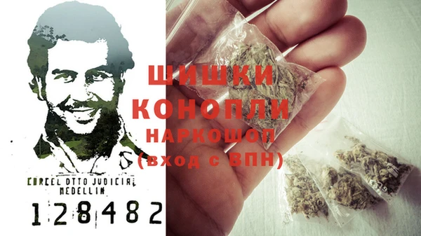 амф Верхний Тагил