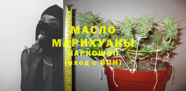 амф Верхний Тагил
