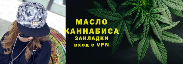 амф Верхний Тагил