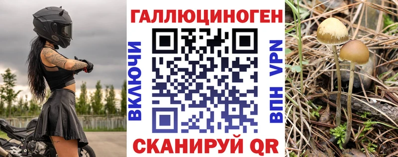 Псилоцибиновые грибы Psilocybe  Вичуга 